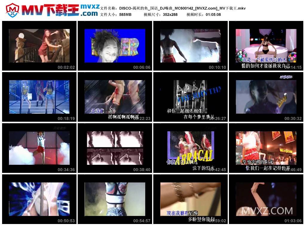 DISCO-渴死的鱼_国语_DJ嗨曲_MC600142